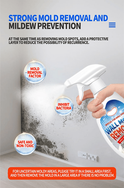 Fast Acting Anti-Mold Wall Cleaner Spray