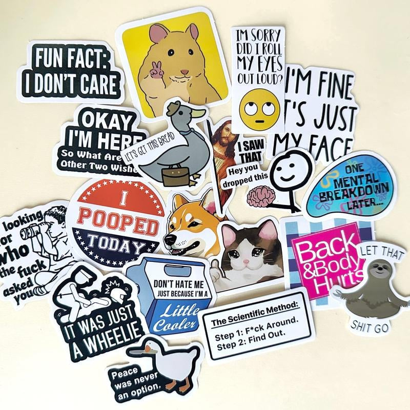 130PCS Funny Saying Sticker Pack - Snarky, Sarcastic Bold Humor Vinyl Waterproof Meme stickers for laptop, computer, water bottle, ipad, phones bumper folding chair sticker pack