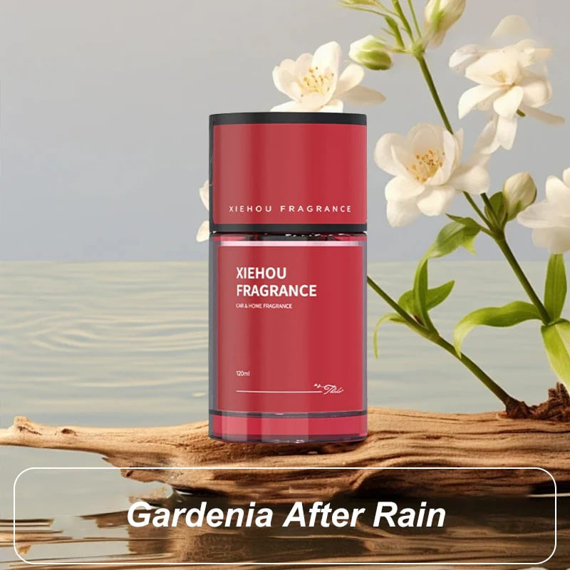 Long-Lasting Car Fragrance