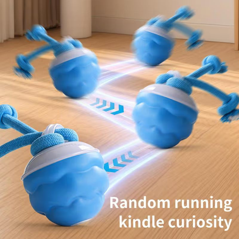 🔥🎁The Chase Buddy Dog Boredom Stimulating Toy