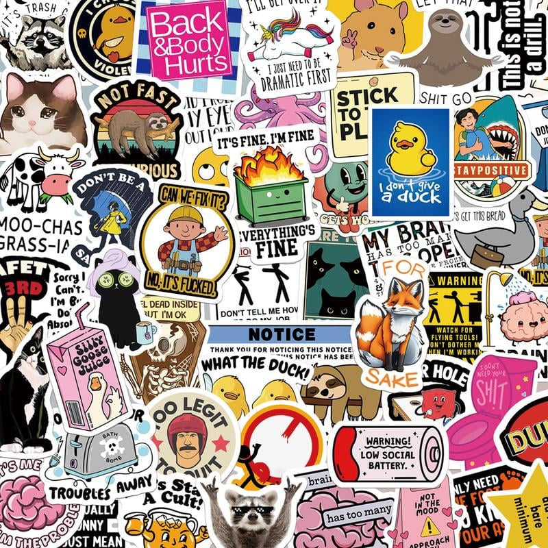 130PCS Funny Saying Sticker Pack - Snarky, Sarcastic Bold Humor Vinyl Waterproof Meme stickers for laptop, computer, water bottle, ipad, phones bumper folding chair sticker pack