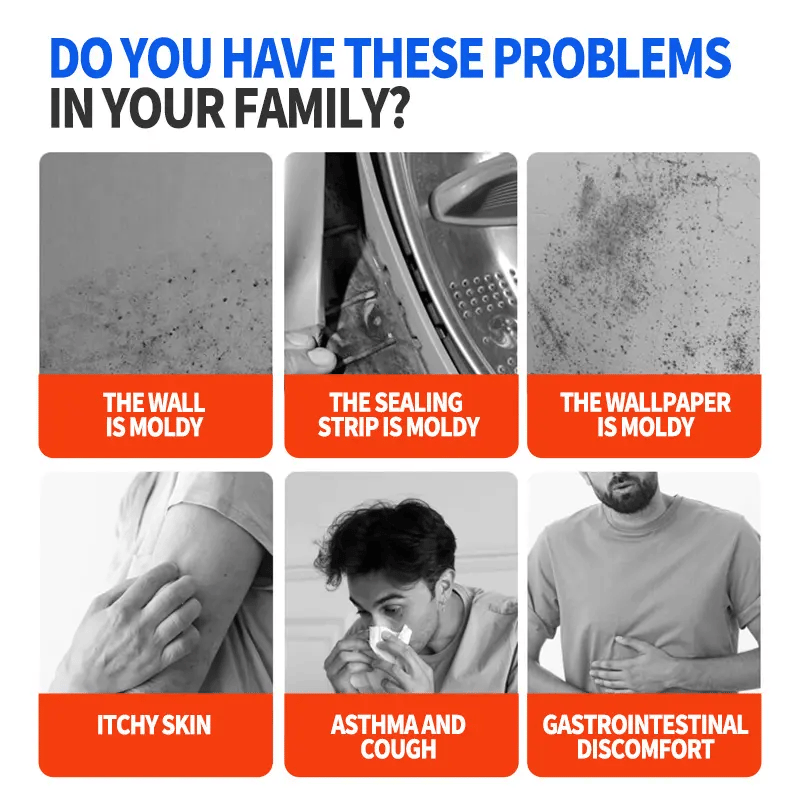 Fast Acting Anti-Mold Wall Cleaner Spray