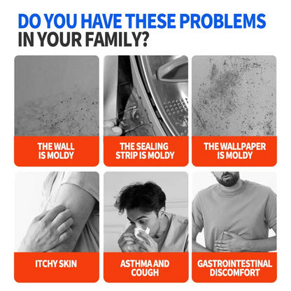 Fast Acting Anti-Mold Wall Cleaner Spray